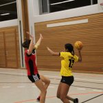 2016_01_23 Landesliga Frauen